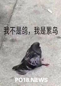 （人外）论活化石的新生活